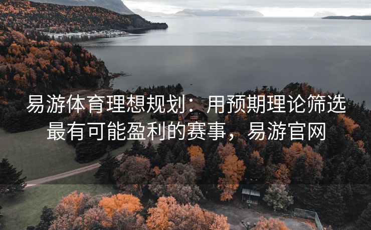 易游体育理想规划：用预期理论筛选最有可能盈利的赛事，易游官网