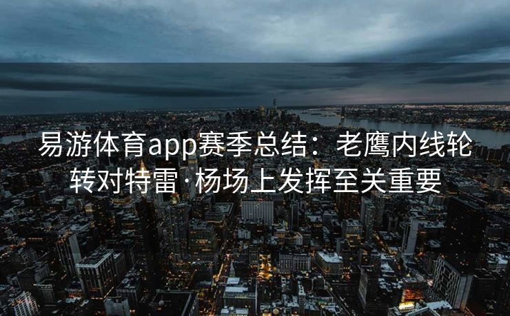 易游体育app赛季总结：老鹰内线轮转对特雷·杨场上发挥至关重要