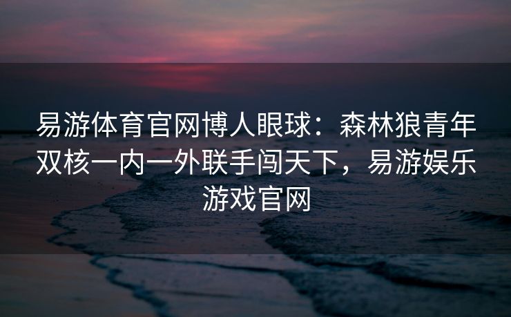 易游体育官网博人眼球：森林狼青年双核一内一外联手闯天下，易游娱乐游戏官网